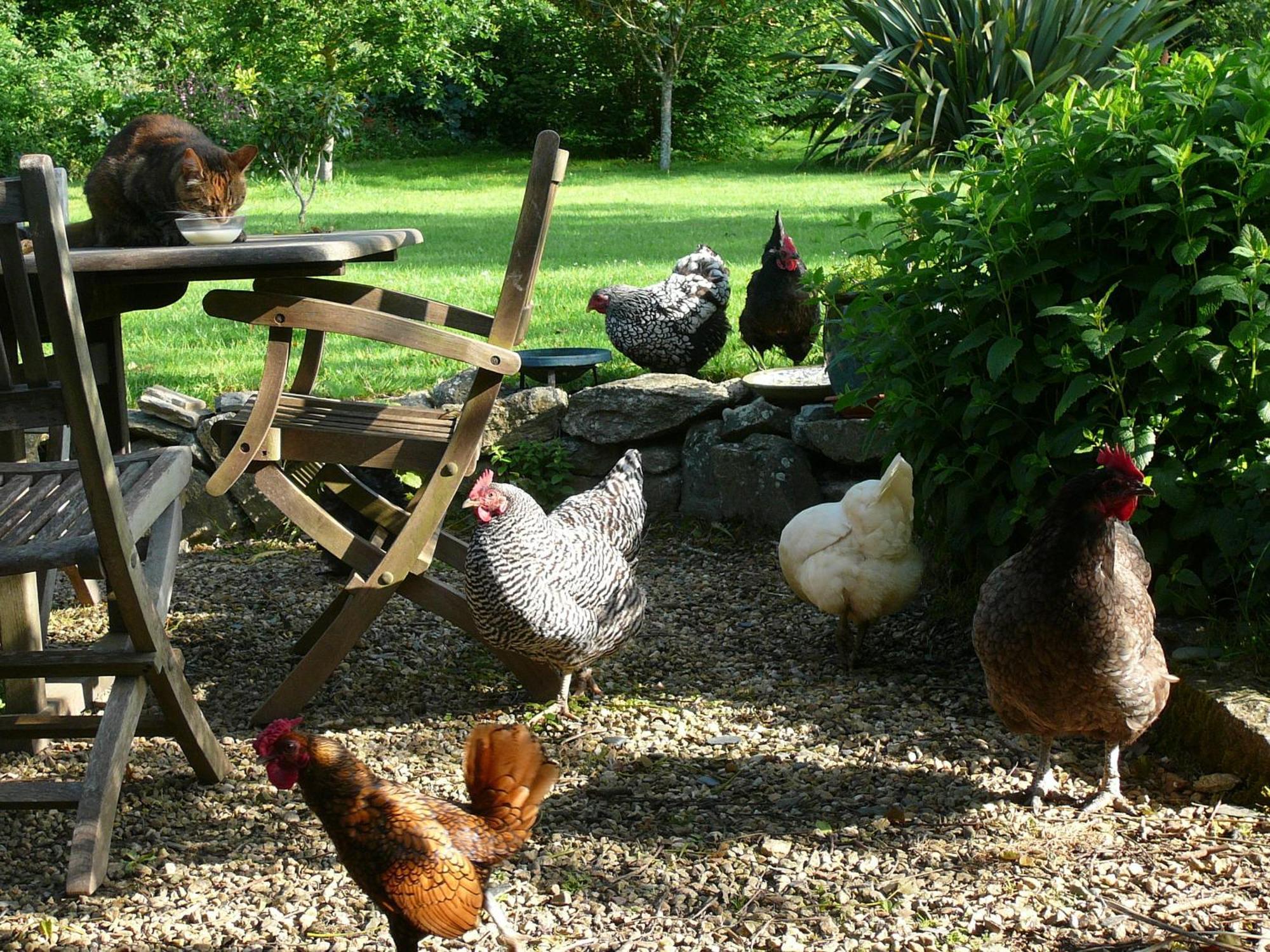 La Ferme De Kerhors Hotel Tréméoc Bagian luar foto