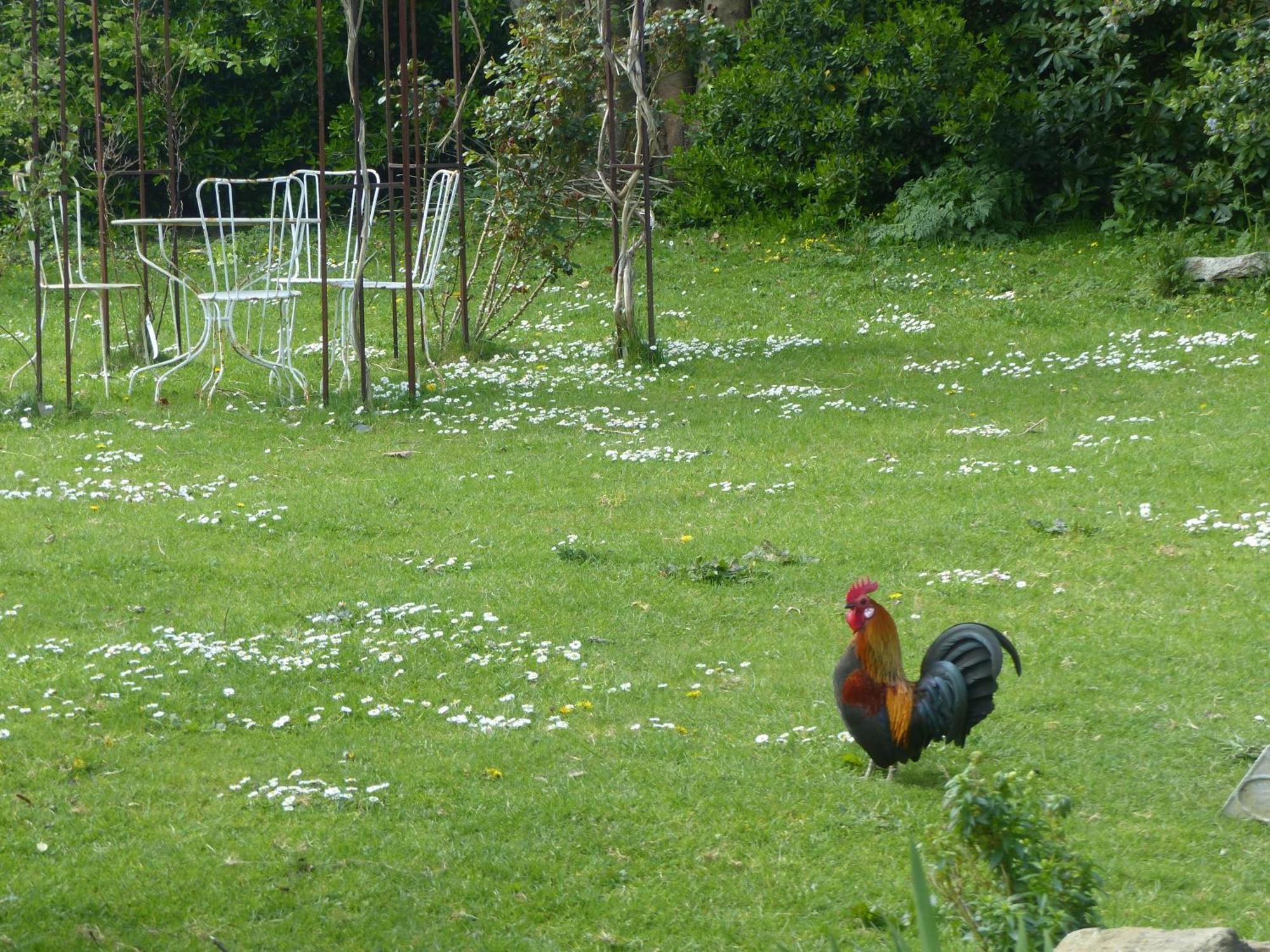 La Ferme De Kerhors Hotel Tréméoc Bagian luar foto